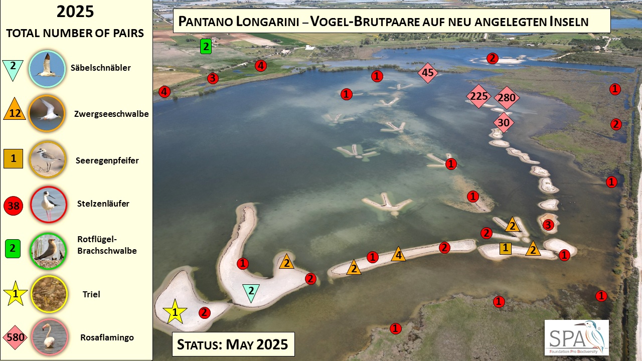 Unlike this spring, the extremely dry year of 2024 in Sicily o - Bild 3